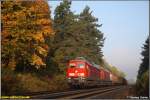 Die Morgensonne hat sich am 11.10.08 durch den Nebel gek�mpft, ...