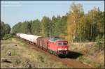 232 471 sieht dem baldigen Ende ihrer zugelassenen Laufzeit entgegen. ...