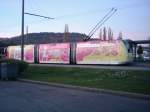 Nancy Busbahn (28 Photos)