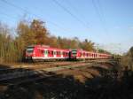 Zwei Quitschies begegnen sich am 20.10.2008 in Haar (bei M�nchen). ...