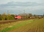 185 319 bei Elze ...  Eric Adrian Greulich 21.10.2008