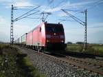 185 175 - 7 ...  martin heeg 22.10.2008