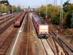 143 644_RB15333 Gie�en - ...  Wolf-Hergen van Geelen 25.10.2008