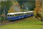 Drei Uerdinger Schienenbusse 5081 ...  Leitner Thomas 27.10.2008