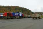am-843-mak-1700 Auf der in der Schweiz gelegenen DB Station Thayngen werden Zuckerr�ben verladen. 
28. Okt. 2008