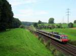 NPZ als Regio nach Olten bei Niderbipp am 25.08.2008  ...