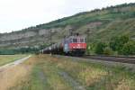 Auslandische Loks 421 378 der SBB Cargo ist gerade an die HGK verliehen. Am 21.8.2008 f�hrt sie fernab von Schweiz und K�ln mit einem �ler durchs Maintal bei Th�ngersheim in Richtung W�rzburg. Nur 3 Tage sp�ter war sie in Hamburg zu finden.