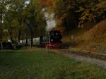 Rugensche Baderbahn - Rasender Roland 99 4011 ist mit dem P 103 auf dem Weg nach G�hren. Hier kurz hinter Seelvitz, h�he Nistelitz. (31.10.2008)
