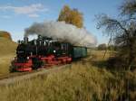 Rugensche Baderbahn - Rasender Roland 99 1784 ist mit dem P104 zwischen Serams und Seelvitz unterwegs. Hier kurz vor Seelvitz. (31.10.2008)