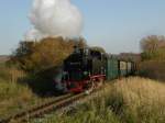 Rugensche Baderbahn - Rasender Roland 99 4011 ist mit dem P 106 nach Putbus zwischen Sellin West und Garftitz unterewegs. (31.10.2008)