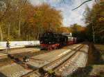 Mecklenburgische Baderbahn Molli 99 2321 wartet in Heiligendamm auf den Gegenzug aus K�hlungsborn. (28.10.2008)
