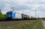 br-185-private 185-CL 004 f�hrt gerade f�r r4c/Veolia. Hier ist sie mit einem �ler aus W�rzburg-Zell bei Th�ngersheim im Maintal Richtung Aschaffenburg unterwegs. (21.8.2008)