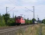 BR 151 151 075 mit KLV-Zug im Maintal bei Th�ngersheim. Vor kurzem hat sie W�rzburg durchfahren. (21.8.2008)