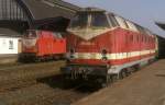 br-219-dr-119 219 006 und 219 066 Gera 26.04.99
