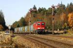 BR 233 233 176 mit dem Frontnerhauser M�ll am 5. November 2008 in T��ling