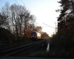 270081 bei Sarstedt mit einem Holzzug (8.11.08)  ...