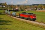 233 176 mit dem ...  Bernhard Schild 09.11.2008