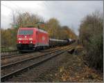   Durch den Herbst ...  Klaus Muhs 11.11.2008