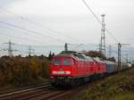 232 255 beim Castortransport ...  Eric Adrian Greulich 11.11.2008