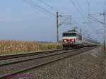 BB 15000 SNCF BB15025 mit EC91 (Br�ssel-Basel) unterwegs in der els�ssischen Rheinebene auf dem Weg von Strasbourg Richtung S�den. Noch immer (wenn auch l�ngst nicht mehr vor jedem Zug) lassen sich im Elsa� BB15000 mit hochwertigen Reisez�gen fotografieren.
11.10.2008 bei Lipsheim 