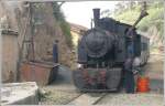 Sonstige Malletlok 442.54 beim Wasserfassen in Arbaroba auf 2064m �/M..(28.10.2008)