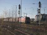 152 113-7 wartet mit einem kurzen G�terzug im Gestr�pp auf ...