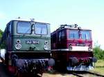 Deutsche Reichsbahn: BR 242 in gr�n und BR 251(R�belandbahn) in ...