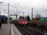 185 188 in Hannover ...  Eric Adrian Greulich 21.11.2008