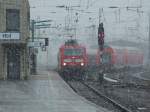 Der RE15406 aus Frankfurt ...  Frank Brendler 22.11.2008