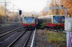 Berlin, 12.11.2008, S41 (Ringbahn ...  Reinhard Zabel 25.11.2008