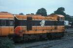 Class 121 (8 Fotos)