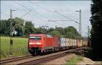Mit 100mm Brennweite wird ...  Florian B�ttcher 29.11.2008