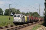 Das  Zebra  139 310 ...  Florian B�ttcher 02.12.2008