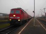 233 511-5 f�hrt am ...  Lars Backhaus 10.12.2008