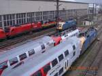 Durchaus sehenswert, was sich am Nachmittag des 7.12.2008 in der ...