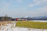 294 612 am 15.12.2008 mit einem G�terzug nach Amberg zwischen ...