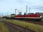 202 327 und 202 484 bei der Durchfahrt Stralsund Srg. ...