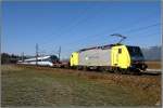 �berstellfahrt einer Doppelgarnitur IC4 ...  Leitner Thomas 30.12.2008