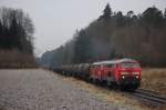 217 017, 225 030 ...  Tobias Schuminetz, Hirschau 04.01.2009
