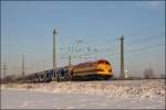 Rundnasenpower: EIVEL 1151 hat in Haltern den DGS 94318  ...