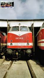 BR 228 im Bw (hist) Arnstadt um 2002 w�hrend einer ...
