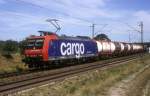 482 006  Wagh�usel ...  Werner Brutzer 19.01.2009