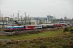 Der Ru�land-Stier (1116 084) ...  Sebastian Fuchs 20.01.2009