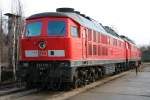 233 179 in Hoyerswerda ...  Sylvio Scholz 24.01.2009