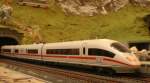 Mein 406 (M�rklin) bei der Einfahrt St.Georgen 1.2.09  ...