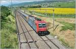 CIS Re 484 015-3 mit EC 125 Genève - Milano ... CIS Re 484 015-3 mit EC 125 Genève - Milano ...