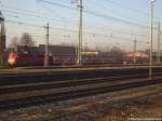 Ein wenig versteckt hinter ...  Bernhard J. 12.02.2009