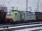 Eine der neuen Re ...  Thomas Eisenmann 15.02.2009