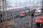Lotrac Eisenbahnverkehrsunternehmen GmbH (14 Fotos)