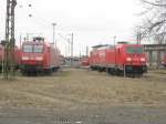 Die modernen TRAXX-Lokomotiven gewinnen ...  Kai Gl��er 28.02.2009